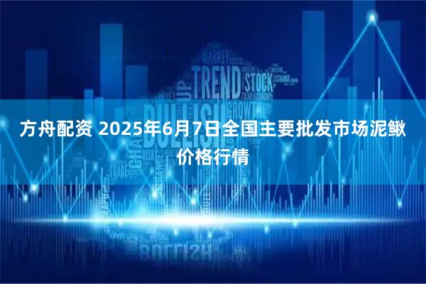 方舟配资 2025年6月7日全国主要批发市场泥鳅价格行情