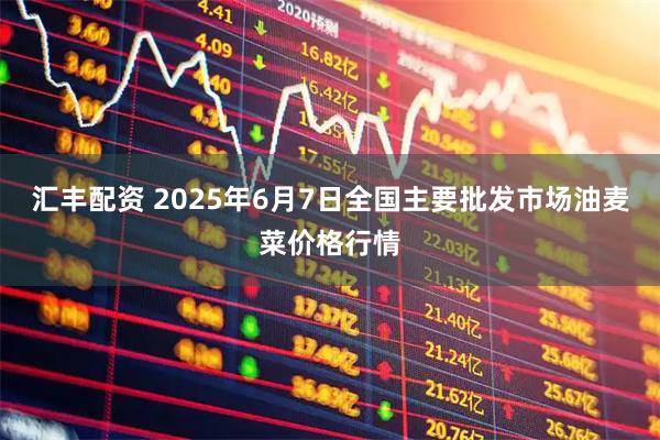 汇丰配资 2025年6月7日全国主要批发市场油麦菜价格行情