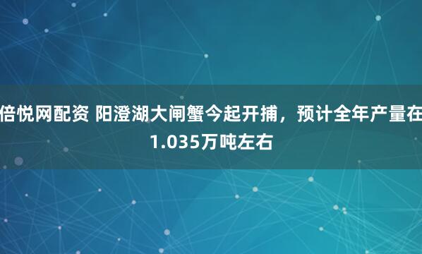 倍悦网配资 阳澄湖大闸蟹今起开捕，预计全年产量在1.035万吨左右