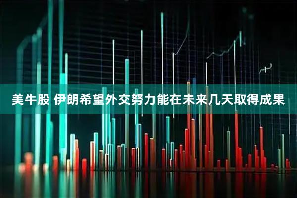 美牛股 伊朗希望外交努力能在未来几天取得成果