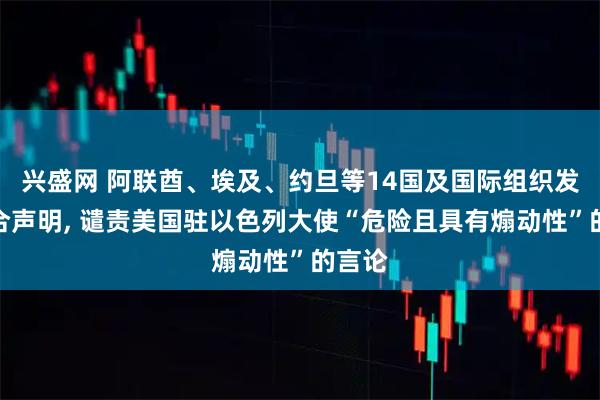 兴盛网 阿联酋、埃及、约旦等14国及国际组织发表联合声明, 谴责美国驻以色列大使“危险且具有煽动性”的言论